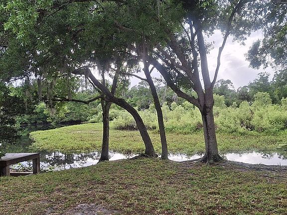 4th image of 3530 Crystal Lakes Ct