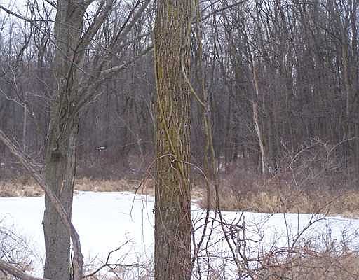 2nd image of E Kinsel
