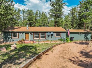 75 Paint Brush Dr, Florissant, CO 80816