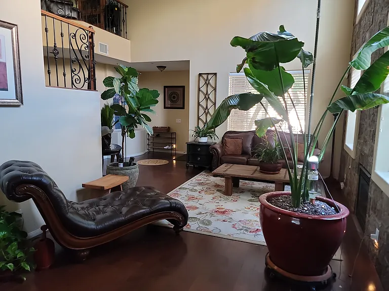 11425 Rock Cove Way — Photo 50