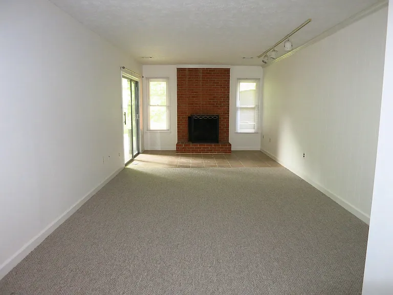 Walk out basement with fireplace