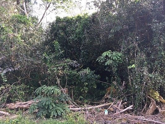 2nd image of 15-2722 Malolo St Lot 8