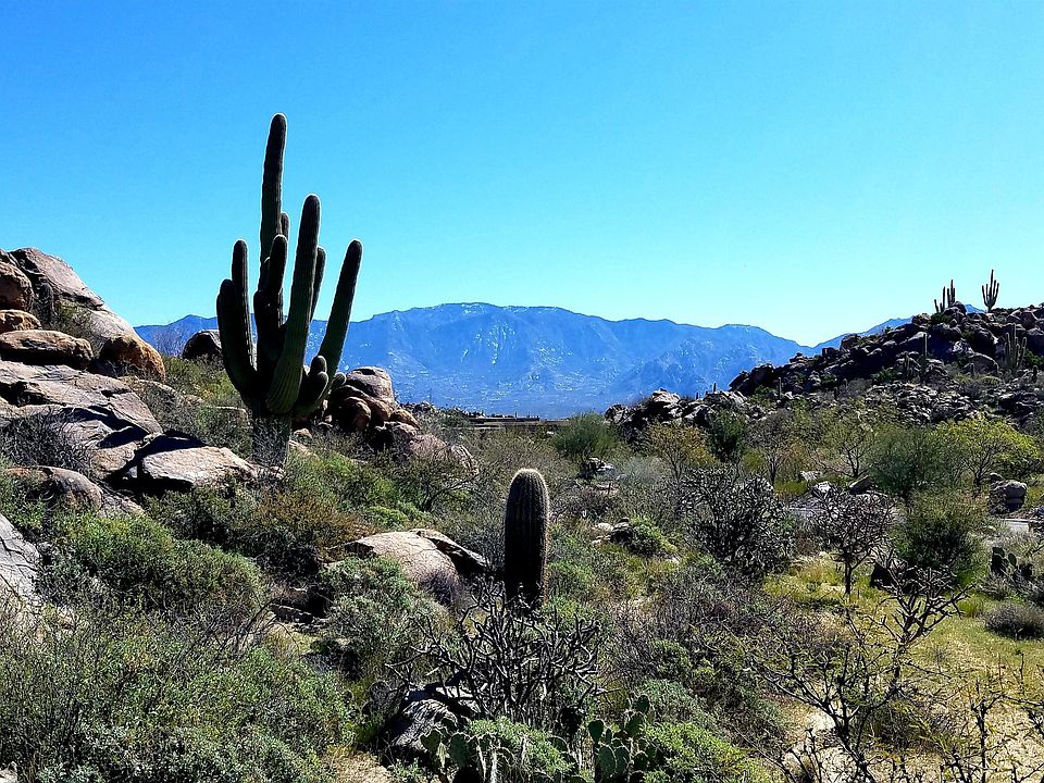1st image of 1481 W Tortolita Mountain Cir #281