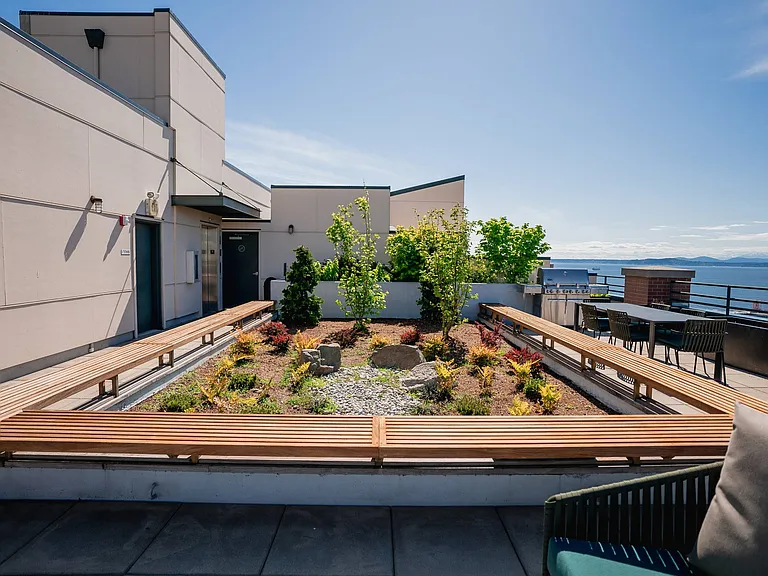 Rooftop