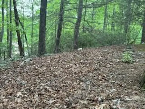 0 Buckeye Rd, Lake Lure, NC 28746
