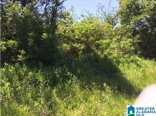 Highway 29 Acres #26, Oneonta, AL 35121