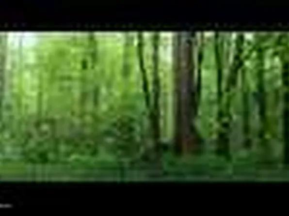 205 River View Dr #9 & 10, Franklinton, NC 27525