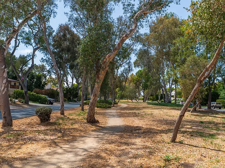 3708 Via La Selva — Photo 46