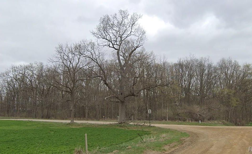 2nd image of V/l N Lima Center Rd