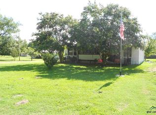 602 Mitchell St, Winnsboro, TX 75494