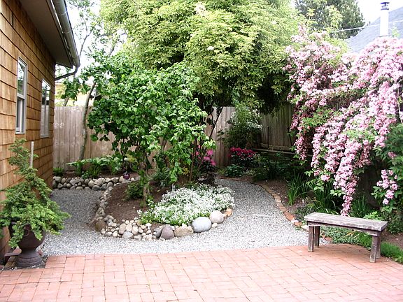 Back patio