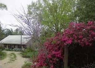 2nd image of 27076 Highway 16
