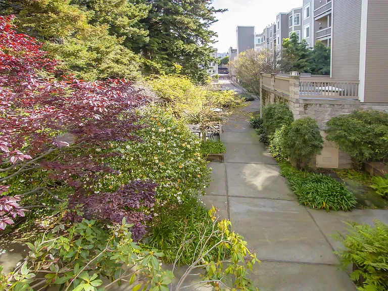 2060 Sutter St #205 — Photo 4