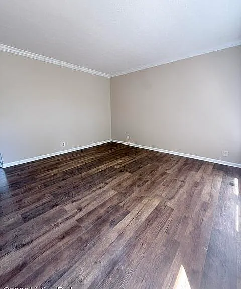 1514 Daverman Dr — Photo 2