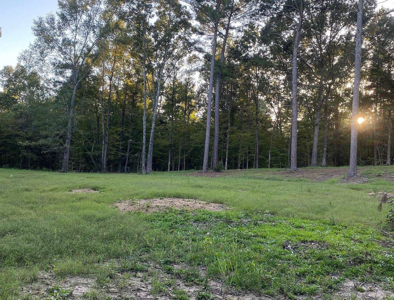 10830 Highway 100, Toone, TN 38381 Zillow