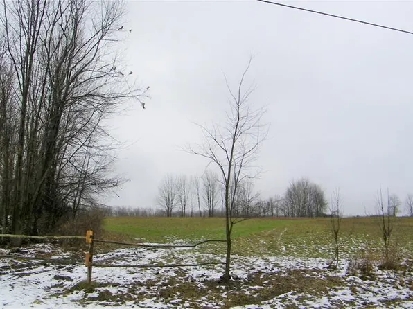 0 Miller Rd W, Westdale, NY 13483