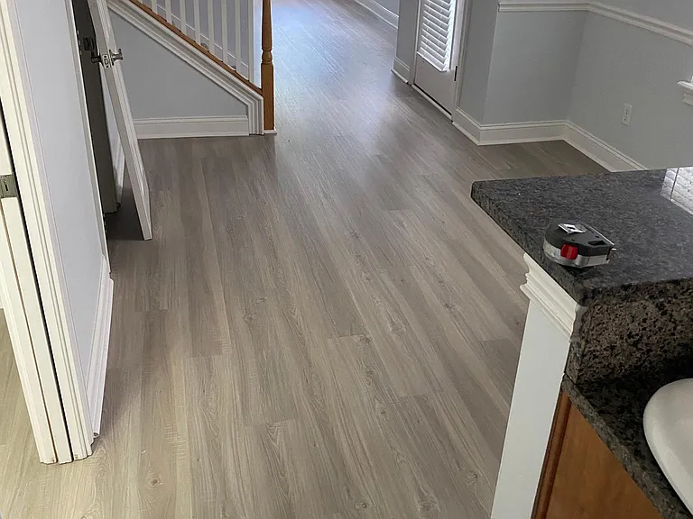 New Grey Paint and Plank Tile 2021