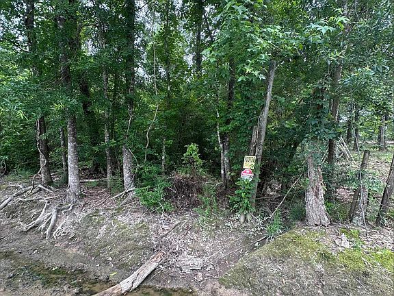 3rd image of Angus Dr