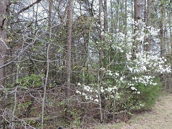 5th image of LOT T State Highway 772 Lot T