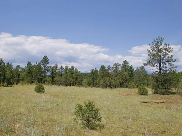 Lark Bunting Ln, Weston, CO 81091