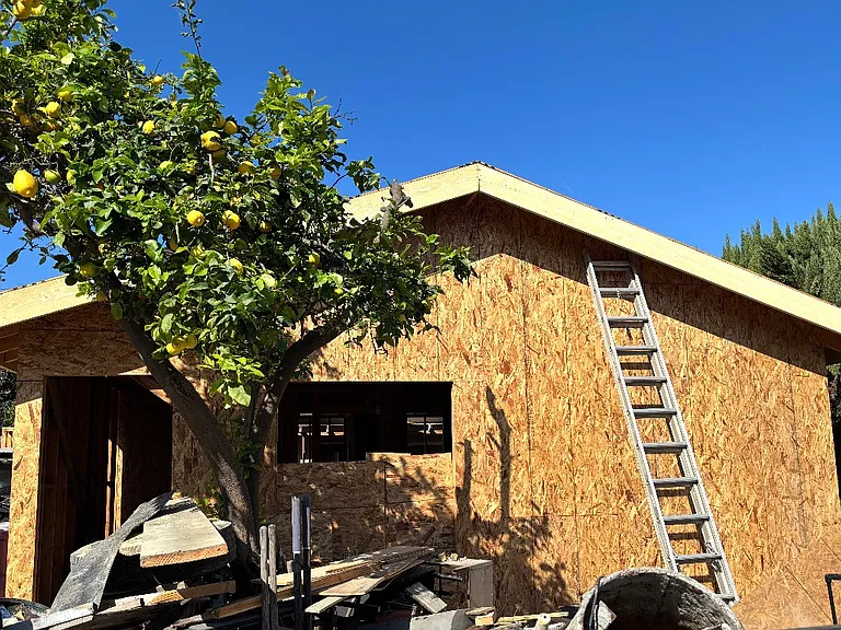 Olive Ave — Photo 1