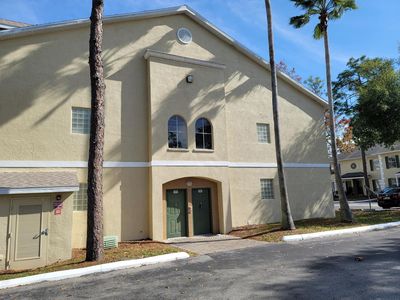 5003 Sunridge Palms Dr, Tampa, FL, 33617