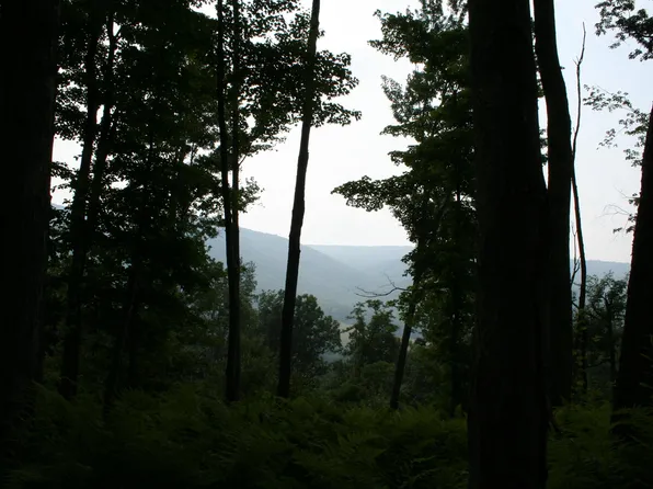 3 Highland Tpke, Monterey, VA 24465