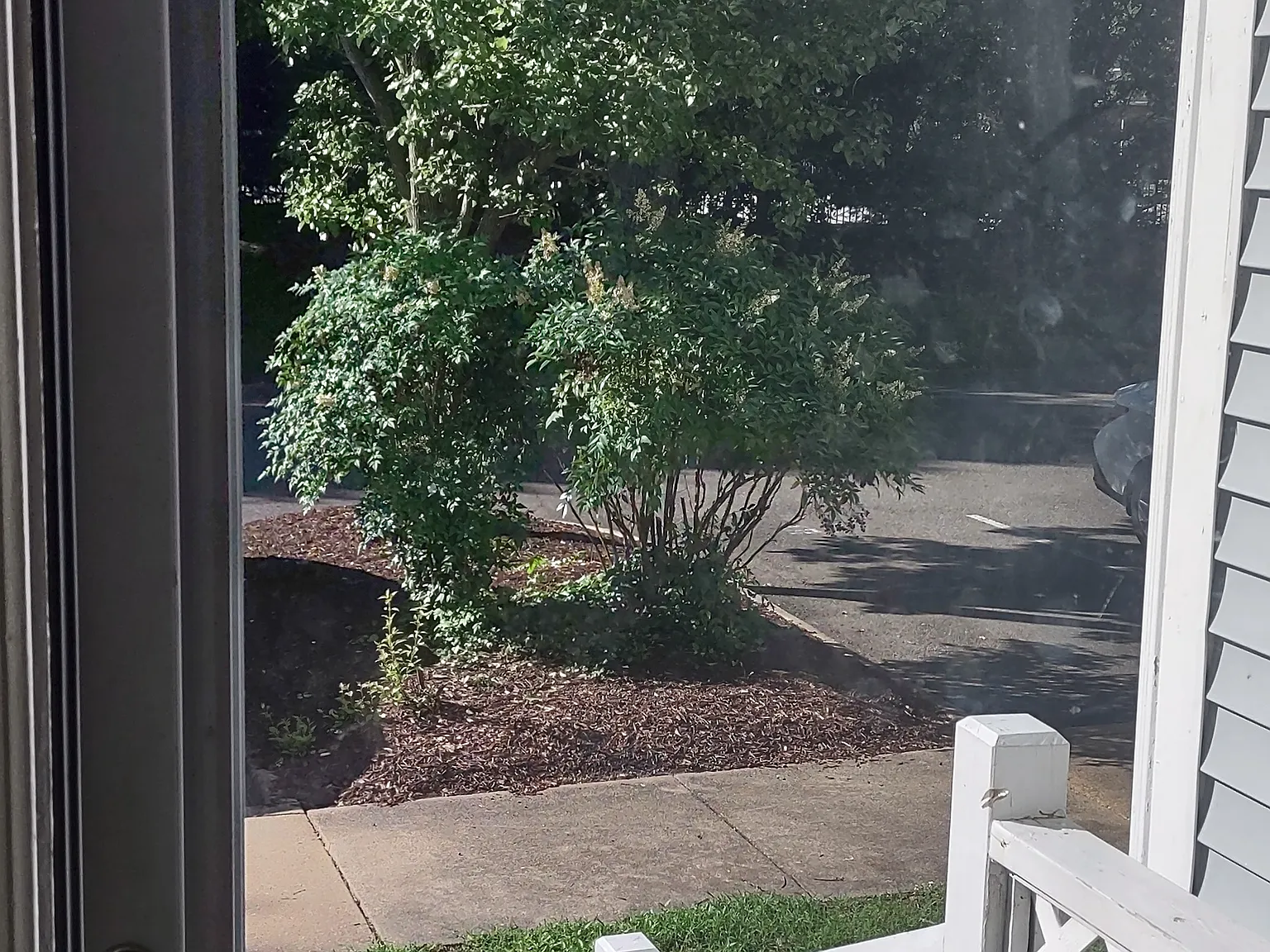 2 bed, 2.5 bath, 1274 sqft, $1,650 — Photo 2
