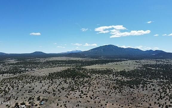 5th image of 5308 N Red Mountain Rd