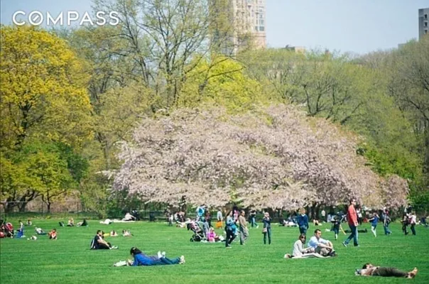 Rented by Compass | media 25