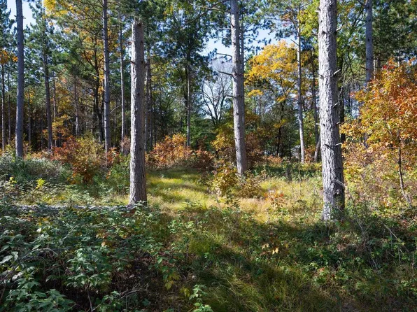N10588 16th Avenue #1, Necedah, WI 54646