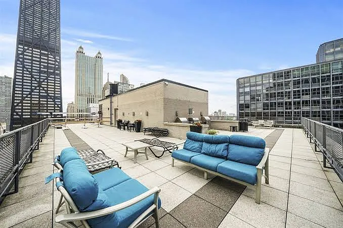253 E Delaware Pl #21F — Photo 19