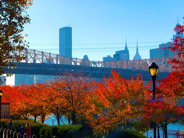 555 Main Street image 13 of 13