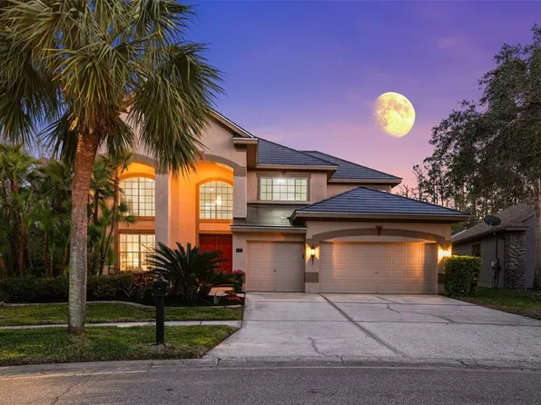 10436 Greendale Dr, Tampa, FL 33626