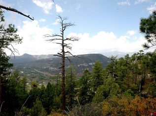 679 Chelsey Ln, Durango, CO 81301