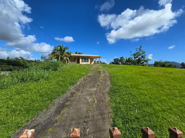 Carr 182 Km 8.2 Bo Calabazas Arriba, Yabucoa, PR 00767