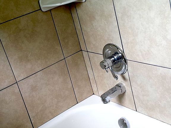 Bathtub and Ceramic Tile