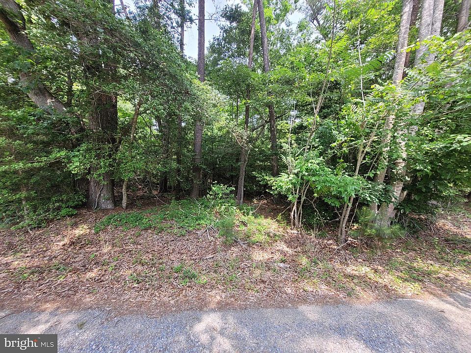 2nd image of 218 Evergreen Dr