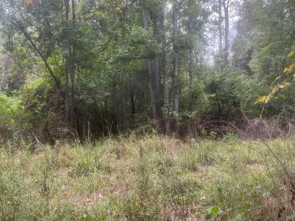 TRACT 1 Battle Rd, Ethel, LA 70730