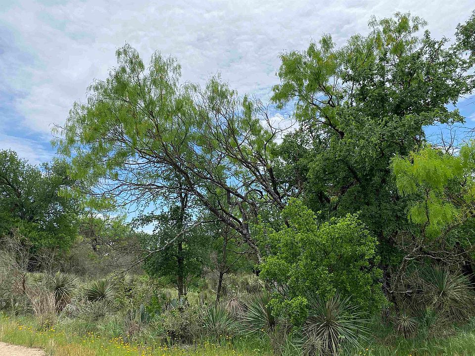 1st image of Rosehill Drive