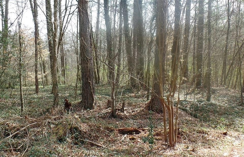 2nd image of 2560 Niskey Lake Rd SW Lot 7