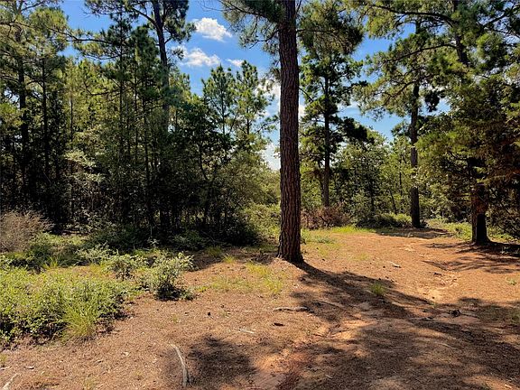 5th image of 445 Pine Valley Loop