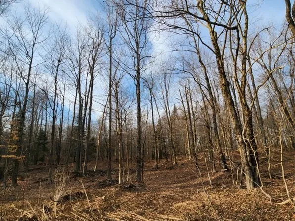 0 Jess Dr #4, Redfield, NY 13437