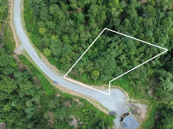 LOT 49 Mountain Laurel Dr, Mineral Bluff, GA 30559