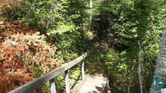 5th image of 4679 Eagles Nest Dr
