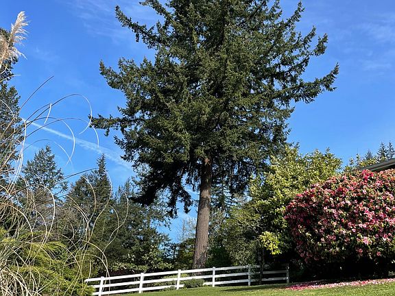 3rd image of 382 SE Summit Rd