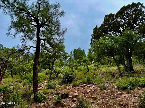 161 N Portal Drive #161, Pine, AZ 85544