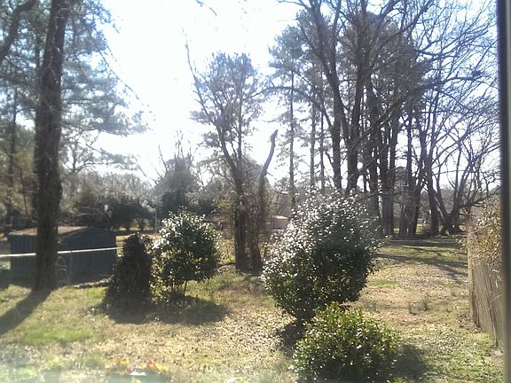 2nd image of 324 Ewell Ln