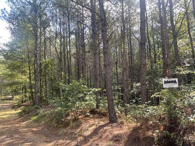 432 Liberty Ridge Rd, Hohenwald, TN, 38462