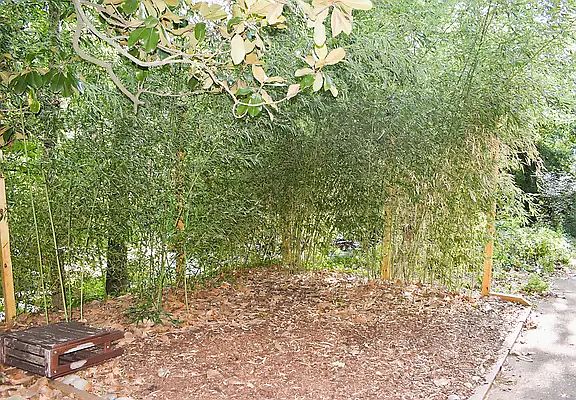 3rd image of (Undisclosed Address)